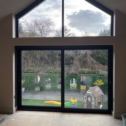 Apex Windows